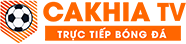 đậu phụ tẩm hành